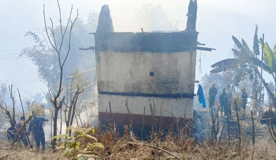 वनमा लागेको डढेलोले घर जल्यो