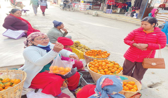 तिस करोडको सुन्तला बिक्री