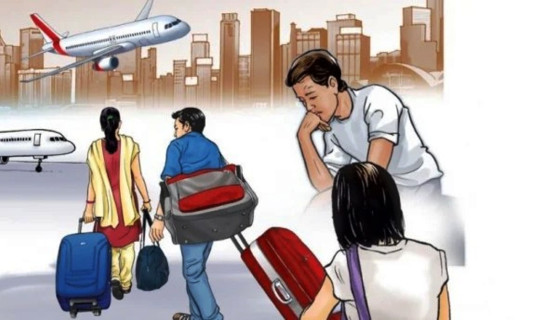 भरतपुरमा सुरक्षित आप्रवासन कार्यक्रम प्रभावकारी बन्दै