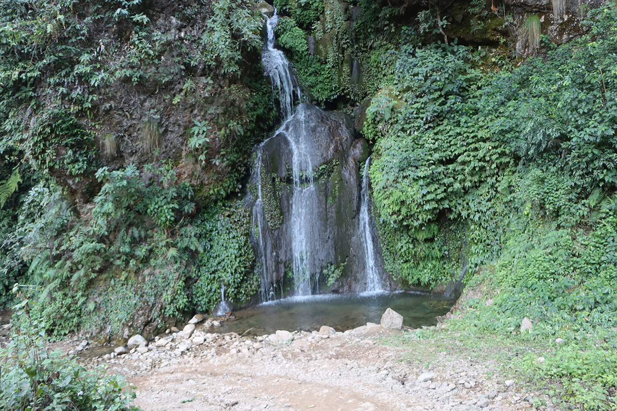 blog