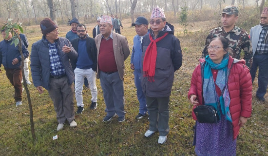 सङ्घीय शिक्षा ऐन छिट्टै आउँछ  : मन्त्री राई