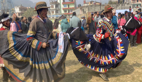 नुवाकोट महोत्सवमा लोपोन्मुख घोडा नाचको  आकर्षण