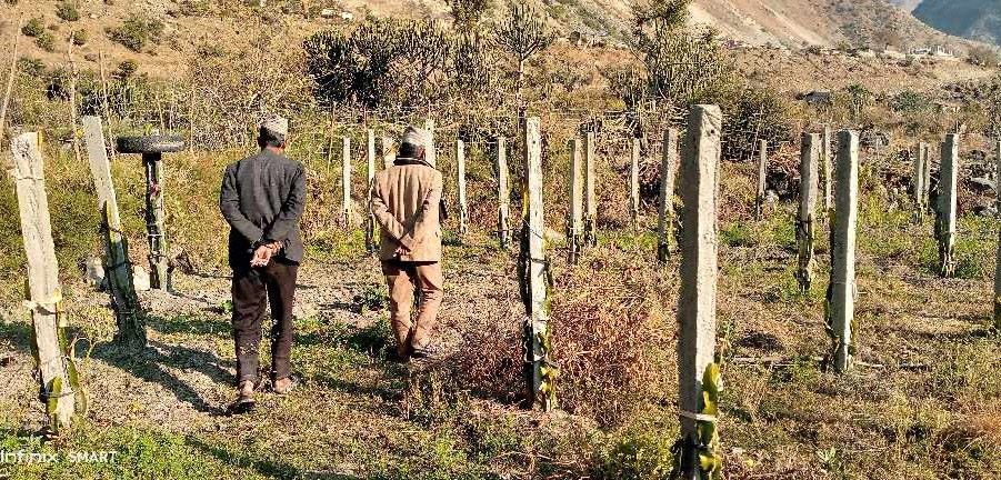 ड्रागन खेतीतर्फ कृषकको बढ्दो आकर्षण