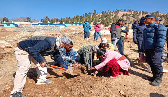 प्रजातन्त्र दिवससको अवसरमा एक सय ५० स्याउका बिरुवा रोपियो