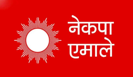 एमाले पेसागत विशेष जिल्ला कमिटीको अध्यक्षमा पराजुली