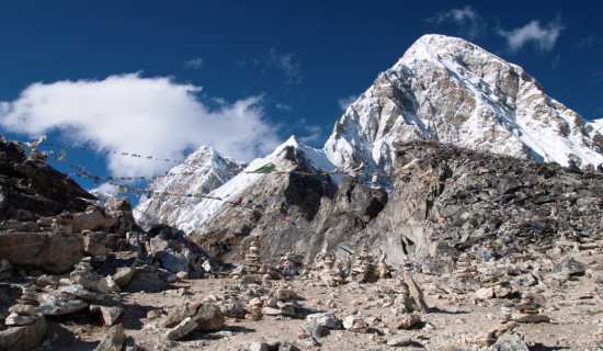 कालापत्थरमा महिला दिवस मनाइने