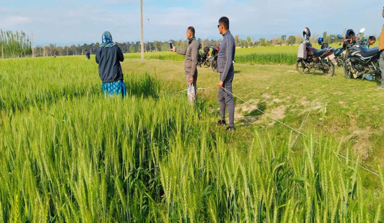 पुरैना तालको अतिक्रमित जग्गा खोजी