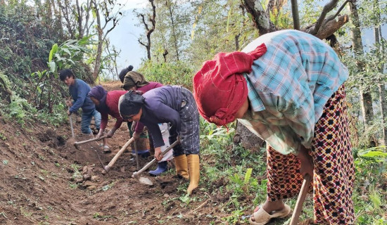 नारी दिवसका दिन महिला श्रम गर्नमा व्यस्त