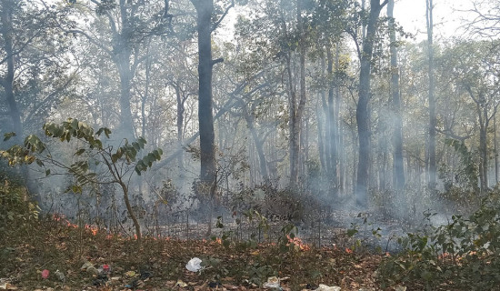 सर्लाही र महोत्तरीको जङ्गलमा फैलियो डढेलो