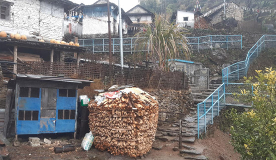 प्रकृति र संस्कृतिलाई घरवासमार्फत जोड्दै पसगाउँ