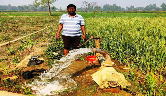 बजेट अभावले सिँचाइ प्रभावित