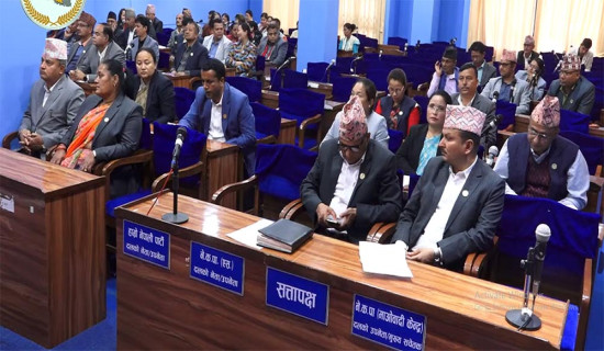 विशेष समितिको प्रतिवेदन कार्यान्वयन गर्न सरकारलाई निर्देशन