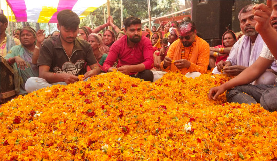 मिथिलामा होली उत्सव सुरु