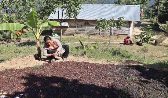 मालागेडीले मालामाल