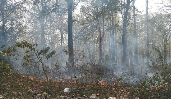 वर्षाले डढेलो नियन्त्रणमा सहज