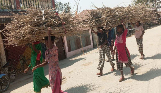 मध्यवर्ती क्षेत्र स्थानीयका लागि इन्धनको स्रोत