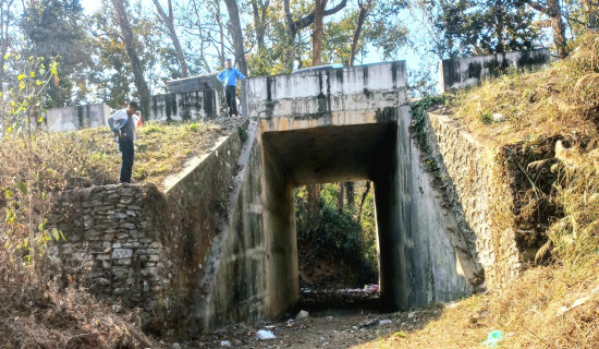 कति वन्यजन्तुमैत्री छन् निकुञ्ज क्षेत्रका पूर्वाधार