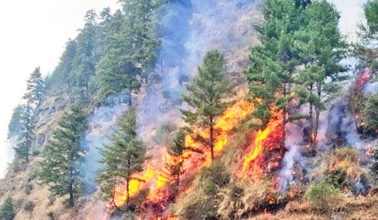 बढ्दै वनमा डढेलो: निभाउने प्रविधि र जनशक्तिको अभाव