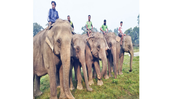 नयाँ वर्षका लागि सौराहाका होटल भरिए