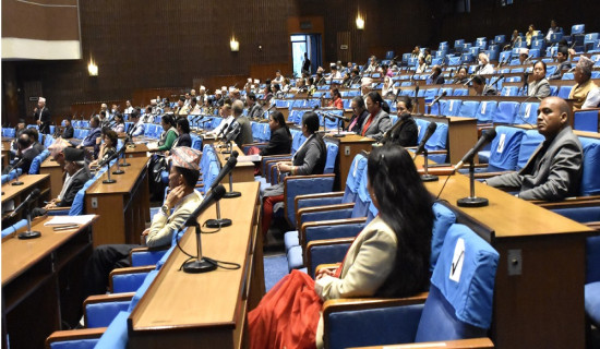 प्रतिनिधिसभामा नेपाल प्रहरीसम्बन्धी विधेयक प्रस्तुत