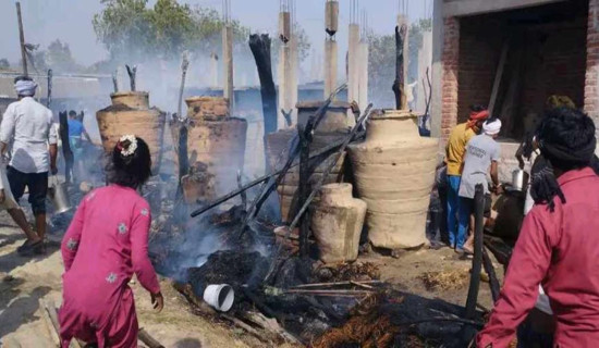 झगडिया गाउँमा आगलागी, नौ घर जलेर नष्ट