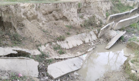 सिँचाइ कुलो भत्किएको दुई वर्षसम्म भएन पुनर्निर्माण