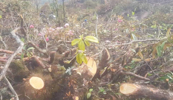 केबलकारविरुद्ध सङ्घर्षरत पक्षद्वारा यातायात बन्दको आह्वान