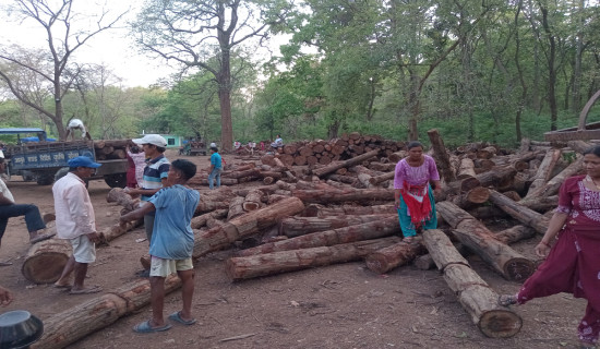 उपभोक्ताका घर घरमा काठदाउरा