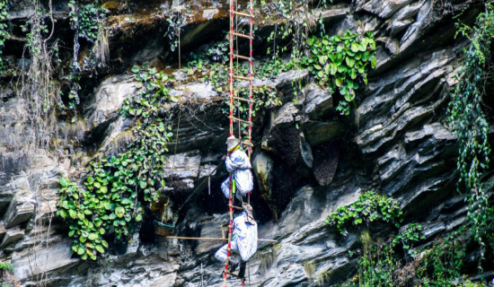 आयआर्जन र पर्यटन प्रवर्द्धनको माध्यम बन्दै महसिकार