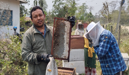 अस्पताल भवन निर्माण अन्तिम चरणमा