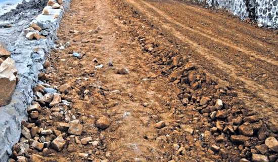 उदीपुर-रिठ्ठेबगर-नौथर सेरा सडक निर्माण सुरु