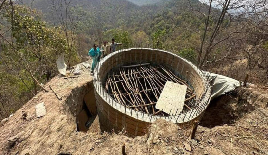 सप्तरीमा ८० प्रतिशत रोपाइँ सम्पन्न