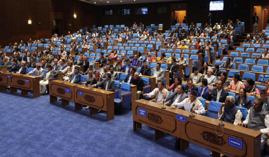 प्रतिनिधि सभा बैठकको शून्य समय : गोंगबु घटनाका दोषीलाई कारबाही गर्न माग