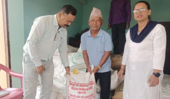 अमेरिकामा नेपाली पढ्दै बालबालिका