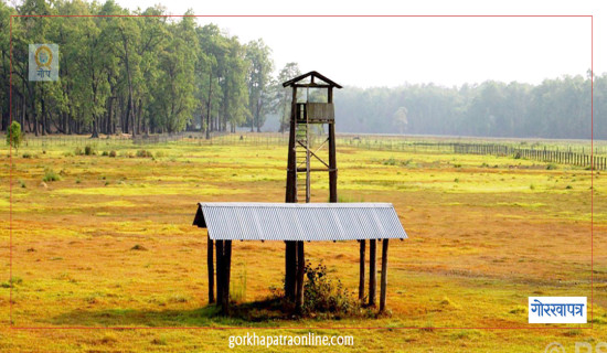 घुस लिएको आरोपमा नायब सुब्बा र लेखापढी व्यवसायीविरुद्ध मुद्दा दायर