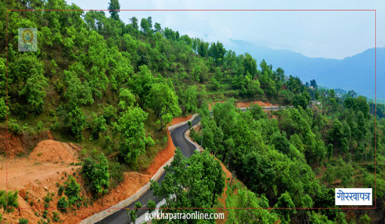 आफैँले बोकेको झोला पासो लागेर वृद्धको मृत्यु