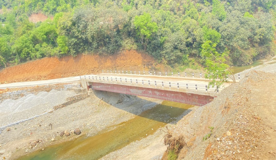 अरुण तेस्रो प्रसारण लाइनका लागि ५९७ टावर निर्माण हुने