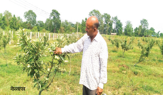 गोरखाका एक व्यक्तिमा भेटियो कोरोना