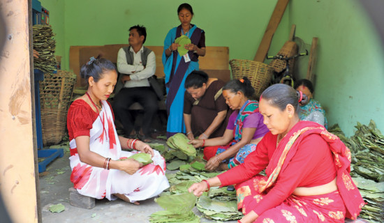 भरोसा थप्दै सामुदायिक विद्यालय