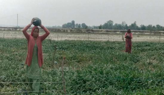 ग्लोबल आइएमईको नौ प्रतिशत लाभांश