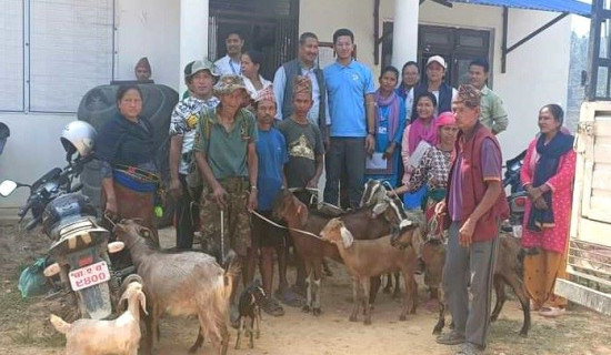 अक्सफोर्ड विश्वविद्यालयद्वारा प्राडा सुवेदीलाई महाविद्यावारिधि प्रदान