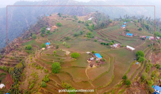 गुराँसेमा आलु खेती