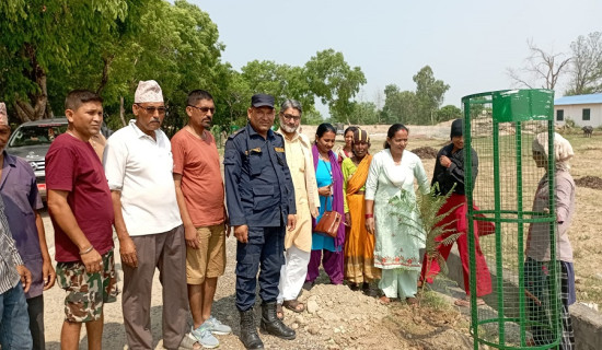 धनगढीमा हरियाली प्रवर्द्धन कार्यक्रम सुरु