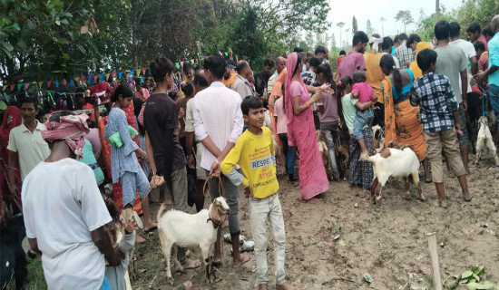 बुद्ध जयन्तीकै दिन मन्दिरमा हजारौँको बली