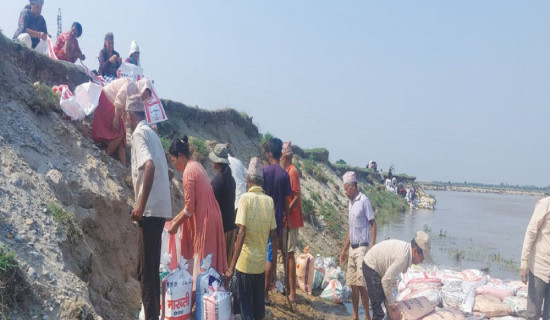 बोराले बस्ती जोगाउन जुटे गाउँले