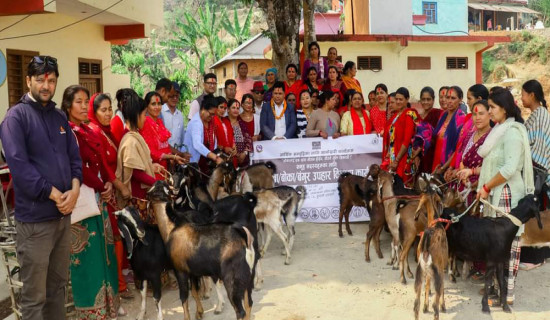 किसानलाई उद्यमशीलतामा जोड्दै स्याङ्जाका पालिका