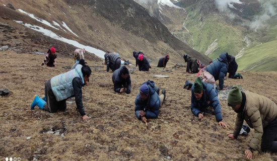 पैसा कमाउन ‘बुकी’ तिर