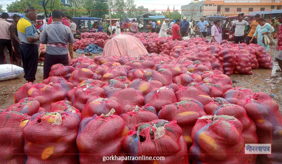 बिक्रीमा राखिएका खरबुजा