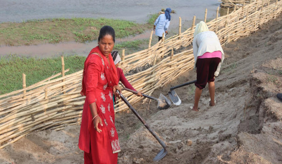 भूक्षय नियन्त्रणमा  तटबन्ध प्रभावकारी