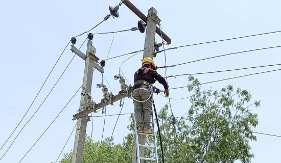 भृकुटीमण्डप बजार व्यवस्थित गर्न मन्त्री चौधरीको निर्देशन